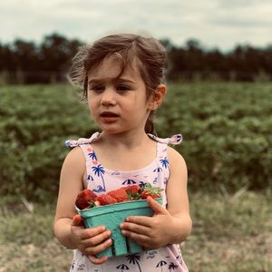 🌴 Zara lavender print summer dress 2-3T